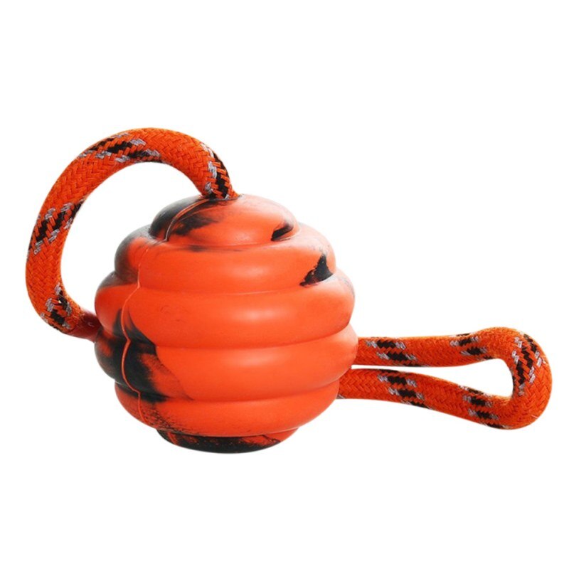 Dog Training Ball on Rope for Interactive Fetch Play