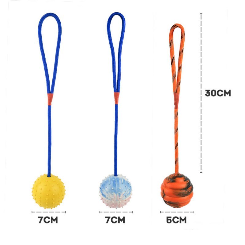 Dog Training Ball on Rope for Interactive Fetch Play