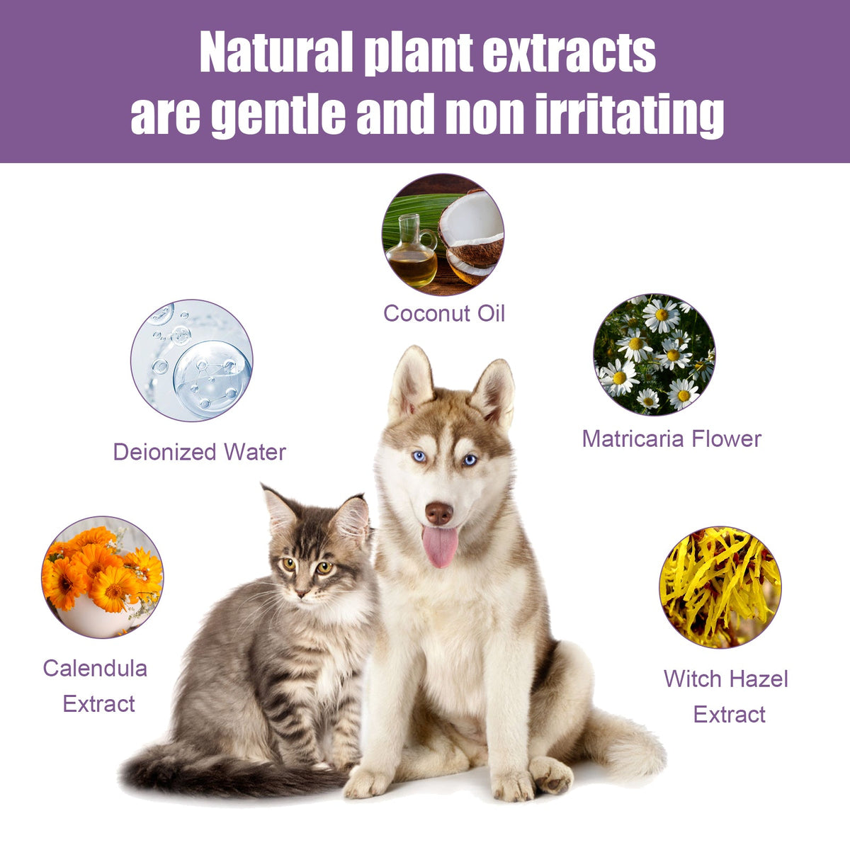Pet Ear Cleaner for Gentle Earwax and Odor Relief
