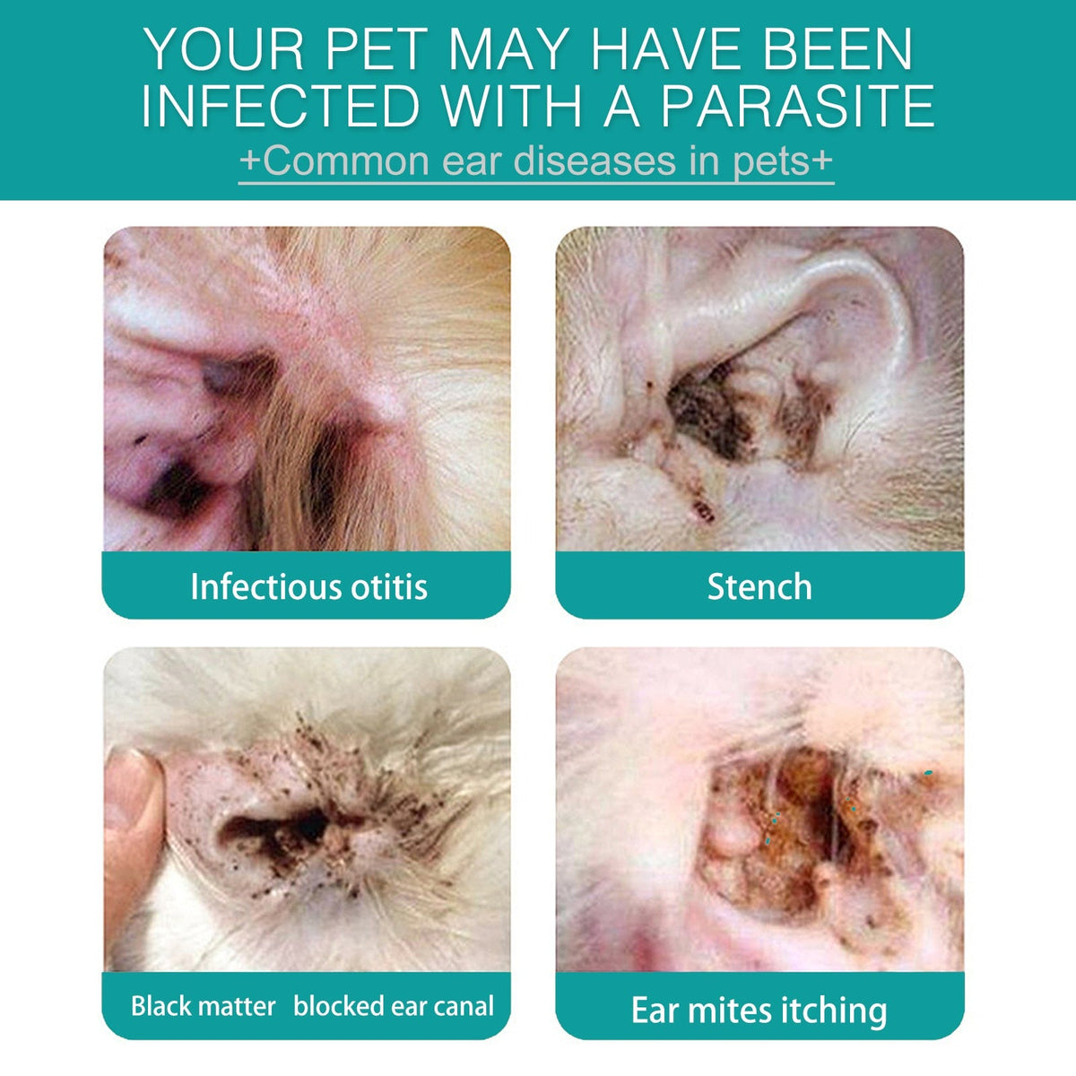 Pet Ear Cleaning Finger Sleeves for Gentle Ear Care