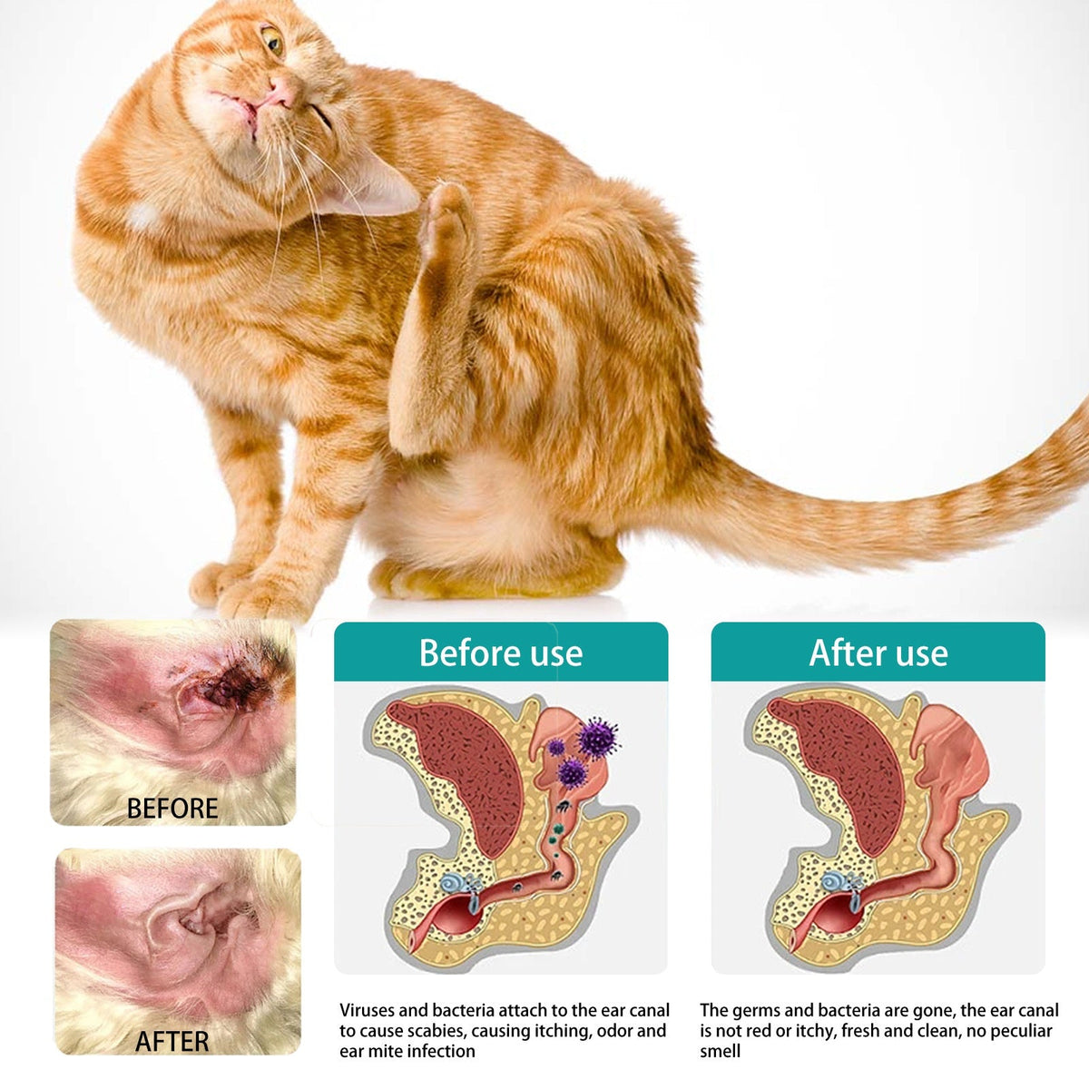 Pet Ear Cleaning Finger Sleeves for Gentle Ear Care