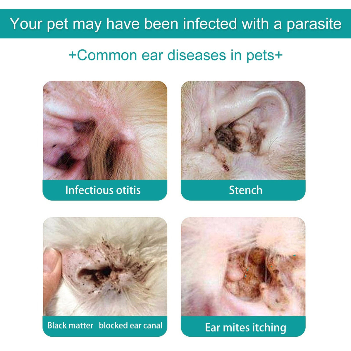 Pet Ear Cleaning Oil for Cats & Dogs, Odor Care