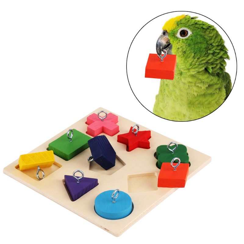 Parrot Puzzle Toy for Interactive Mental Enrichment