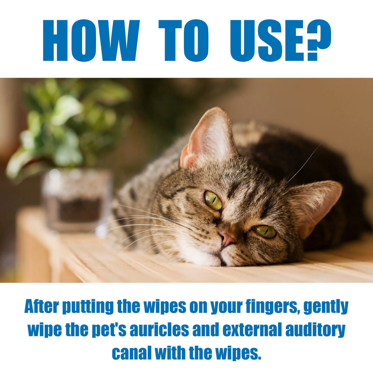 Pet Ear Finger Wipes for Cleaner, Fresher-Smelling Ears