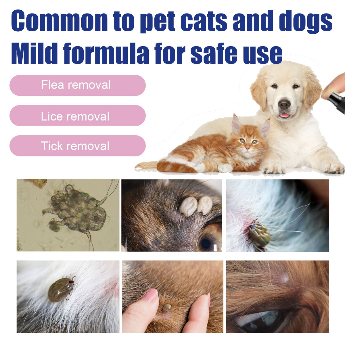 Pet Flea Spray for Cats & Dogs | Convenient Pest Care