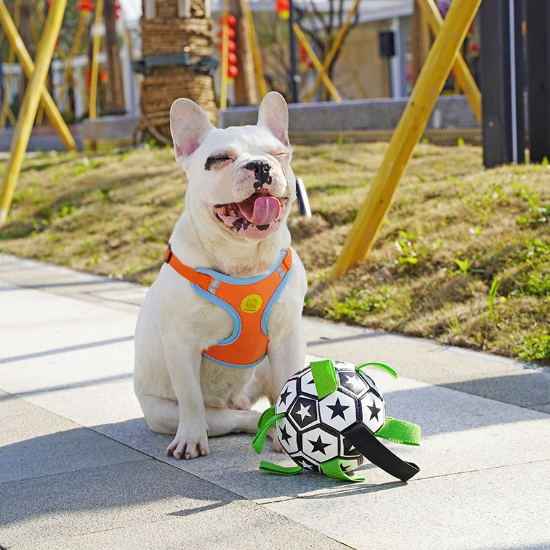 Dog Football Toy with Tug Straps for Fetch & Play