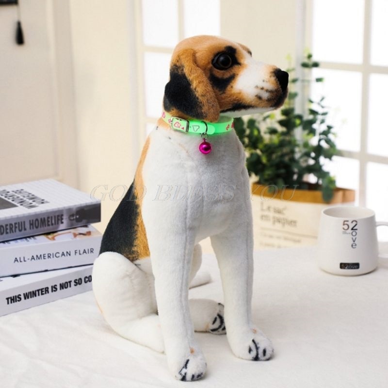 Glowing Pet Collar for Nighttime Walk Visibility & Style