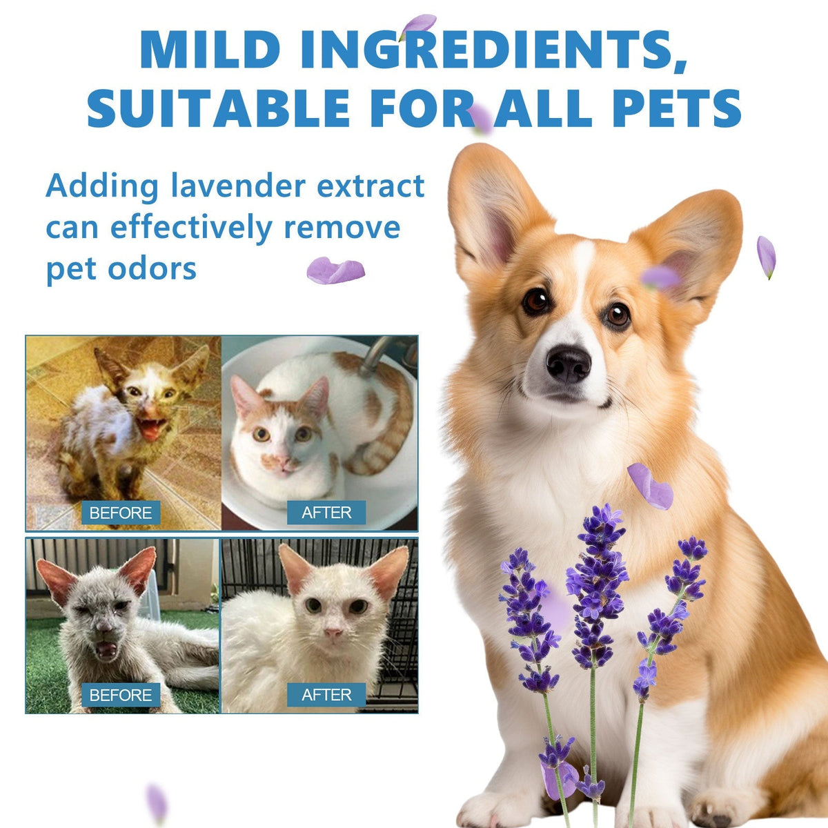 Pet No-Rinse Grooming Essence for Daily Odor Control