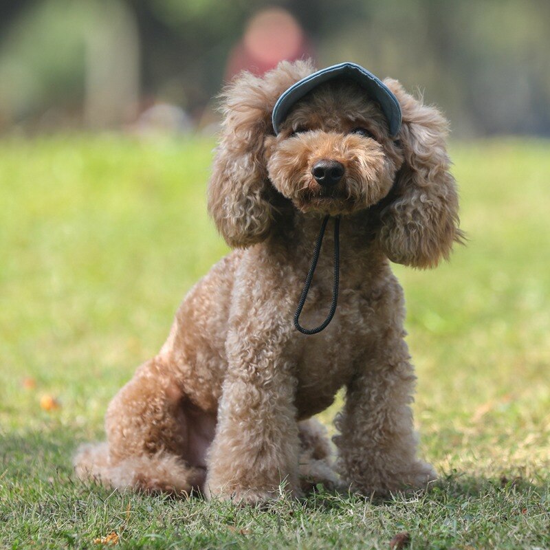 Dog Baseball Cap With Ear Holes for Sun Protection