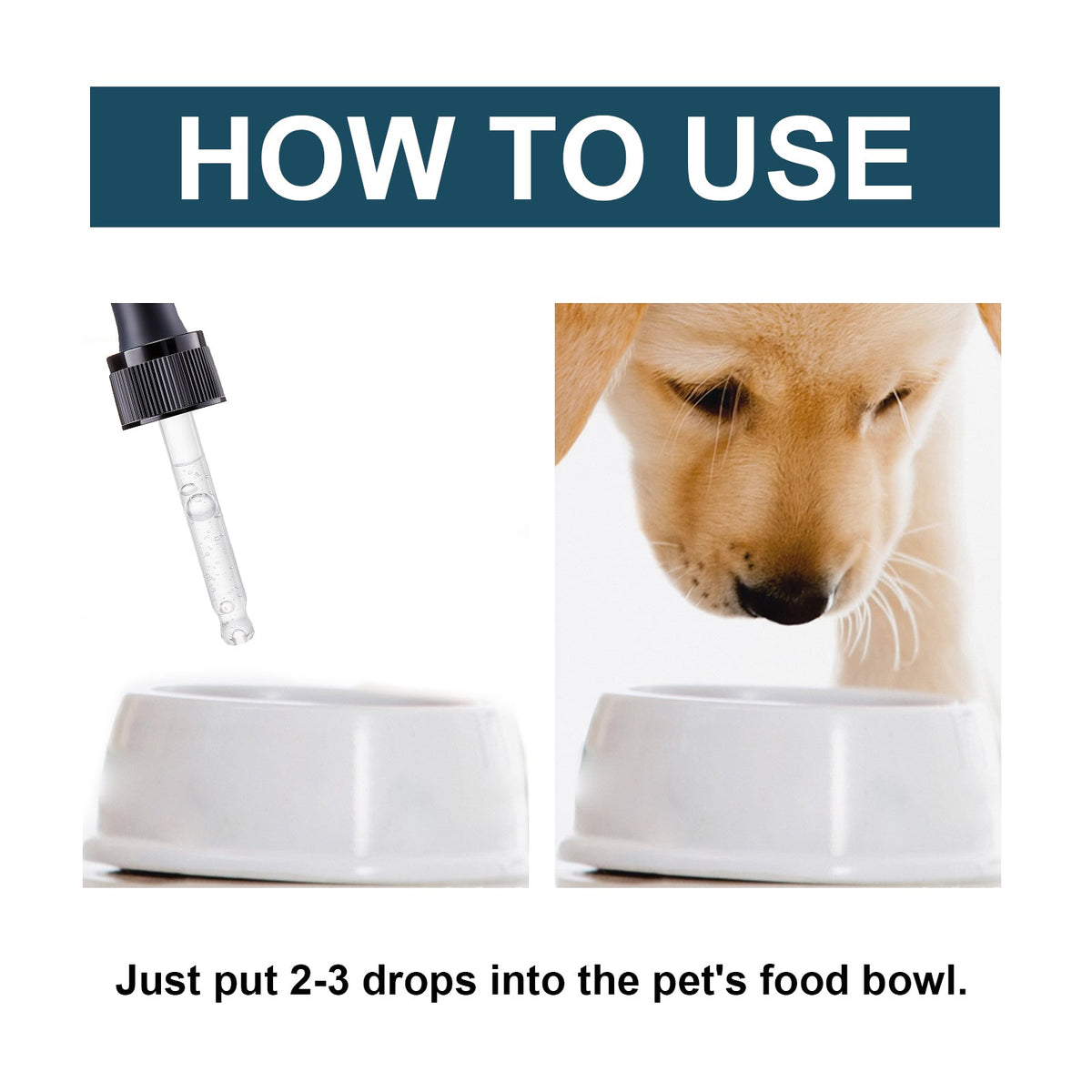 Pet Immune Oral Drops for Daily Health and Vitality