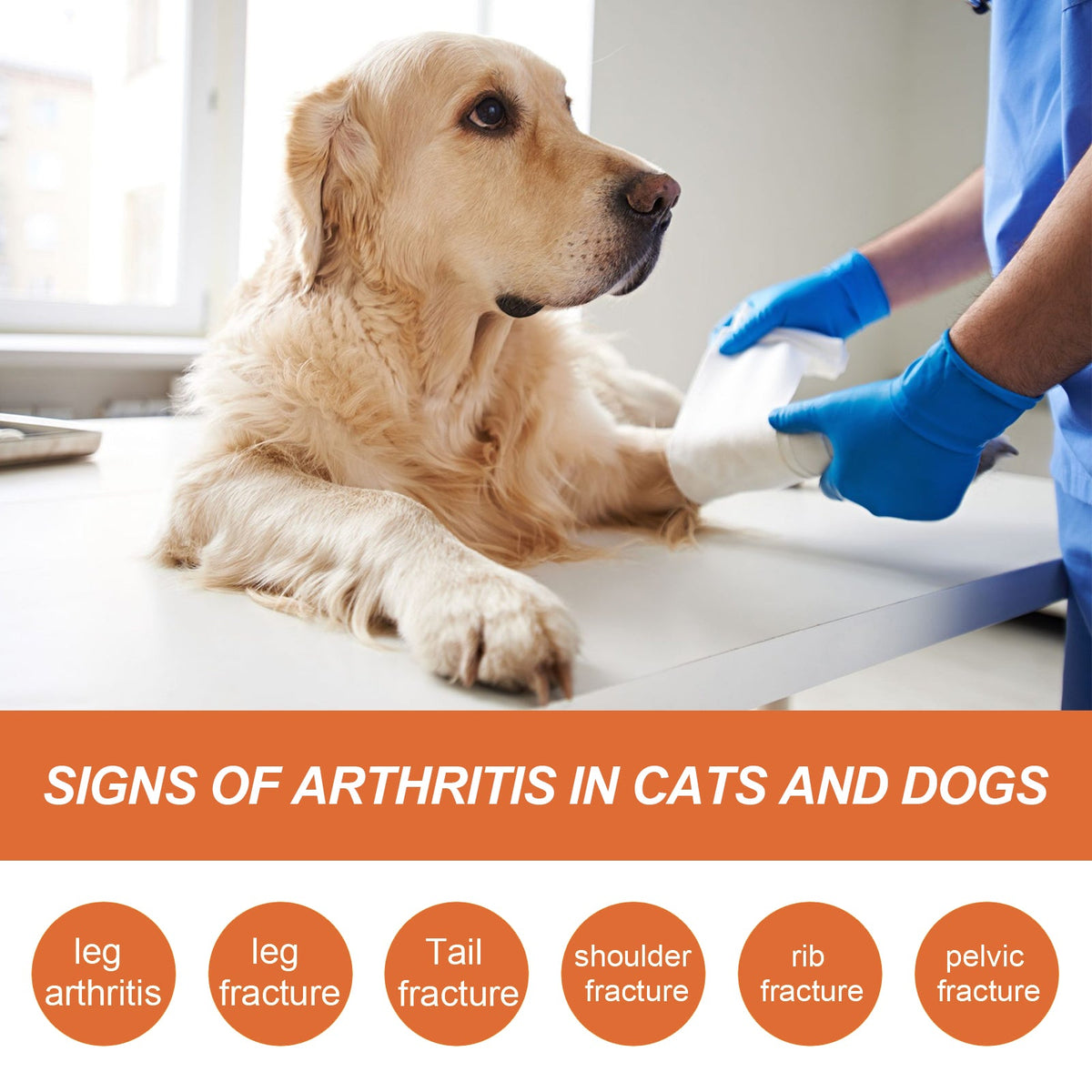 Pet Joint Care Spray for Dog & Cat Comfort Support