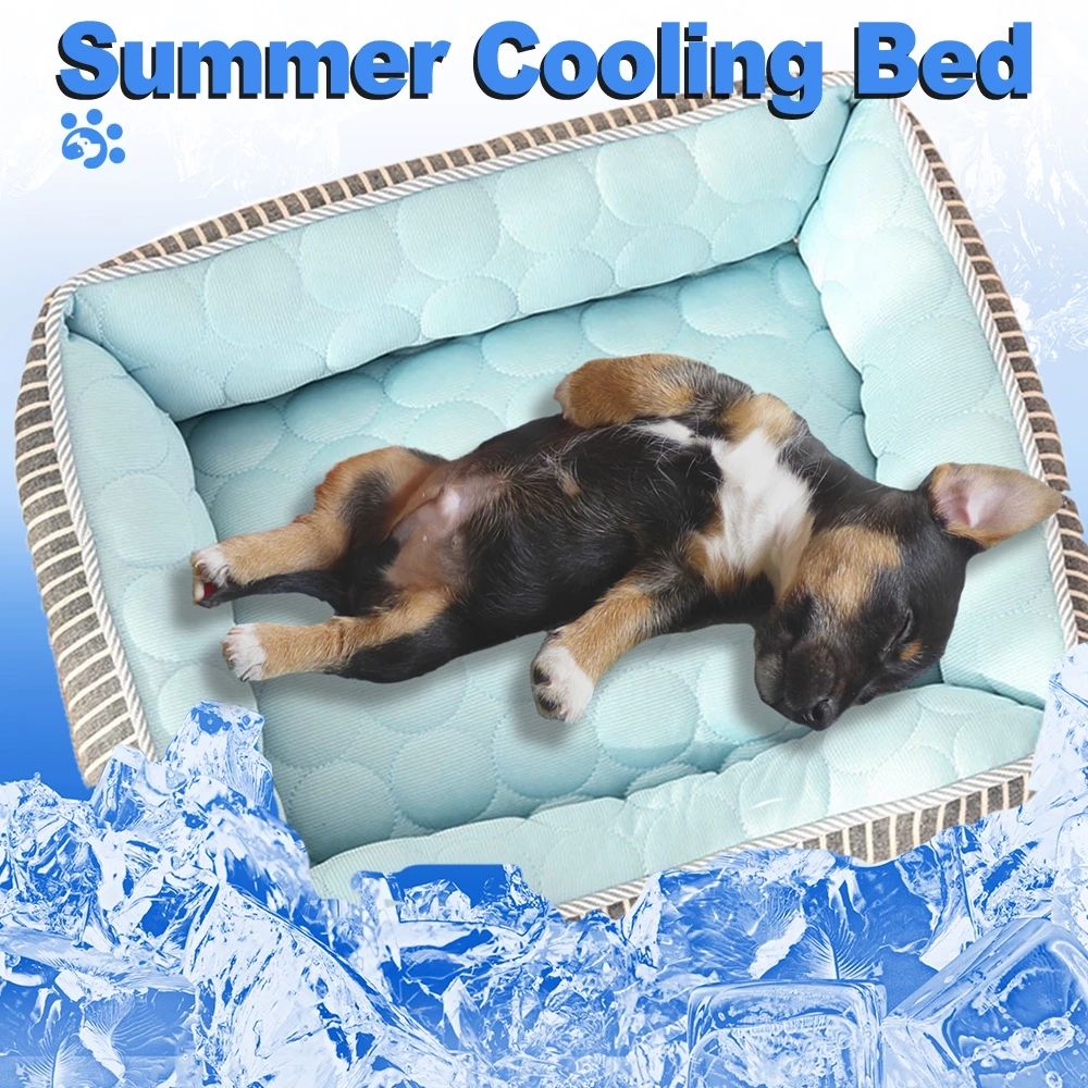 Cooling Dog Bed for Summer: Cushioned Comfortable Rest