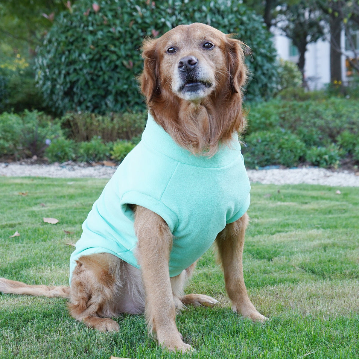 Large Dog Winter Shirt for Warmth and Easy Movement