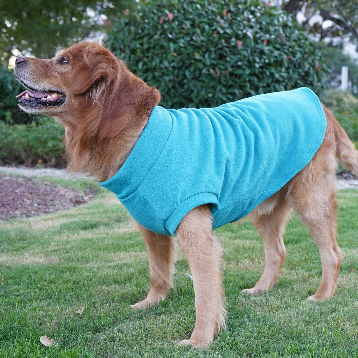 Large Dog Winter Shirt for Warmth and Easy Movement