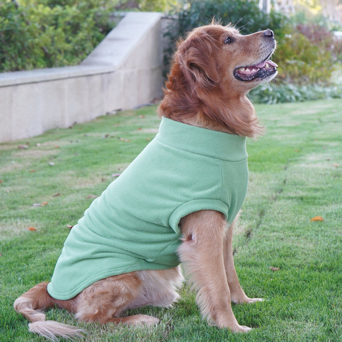 Large Dog Winter Shirt for Warmth and Easy Movement