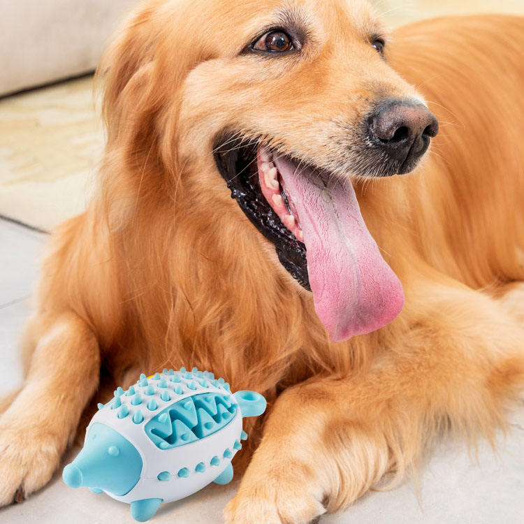Dog Dental Treat Ball for Enrichment and Chewing