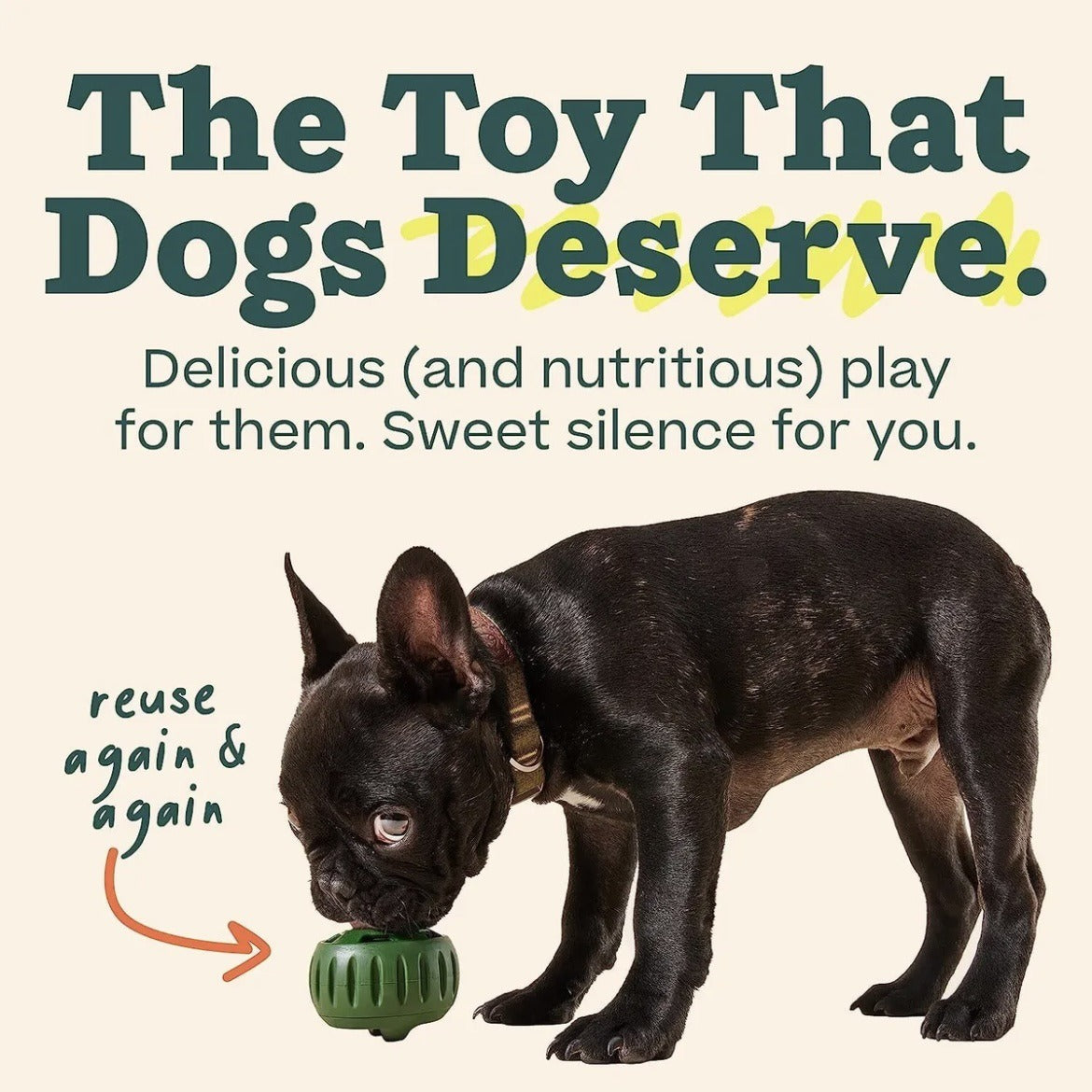 Interactive Dog Treat Toy for Slower, Cleaner Feeding