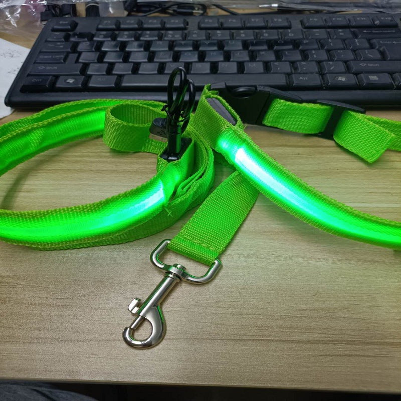 LED Dog Leash for Nighttime Walks, 120CM Visibility