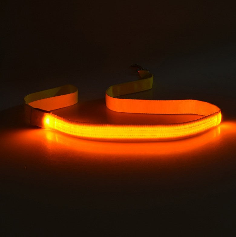 LED Dog Leash for Nighttime Walks, 120CM Visibility