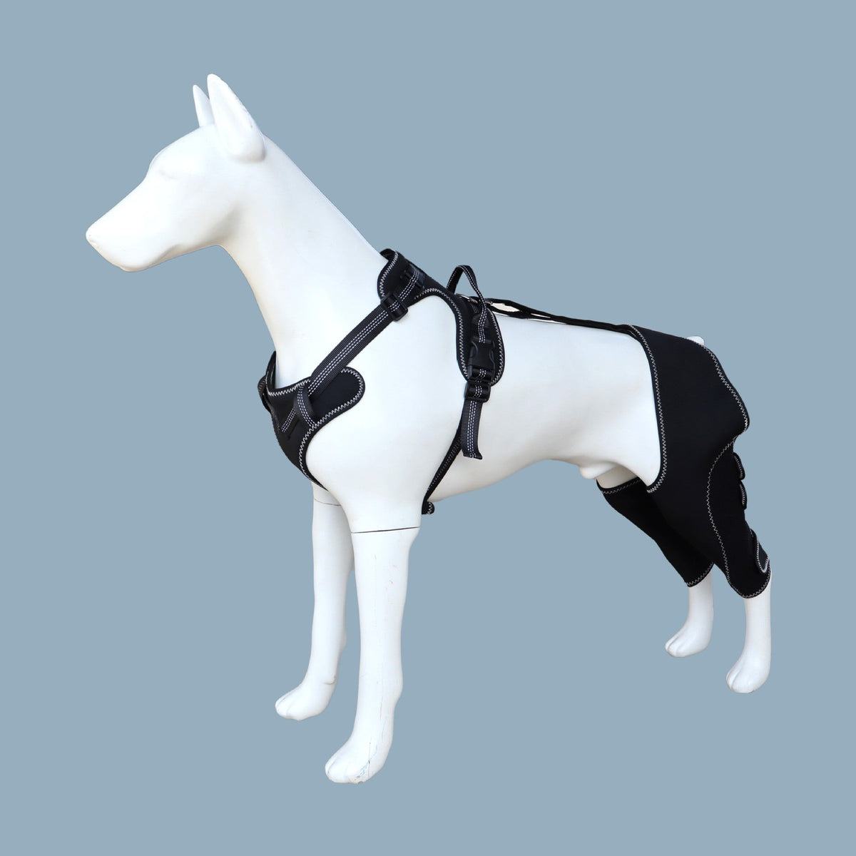 Dog Knee Brace for Post-Surgery Support and Recovery