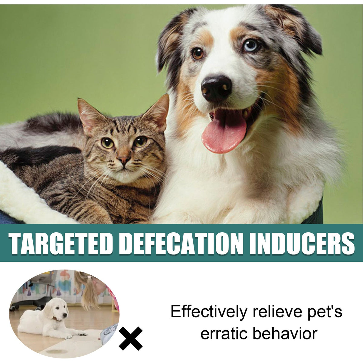 Pet Toilet Training Spray for Finding the Right Spot