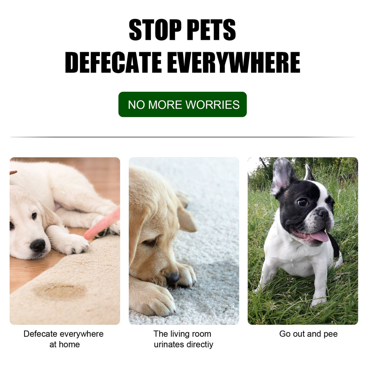 Pet Training Spray for the Right Toilet Spot, 30ml