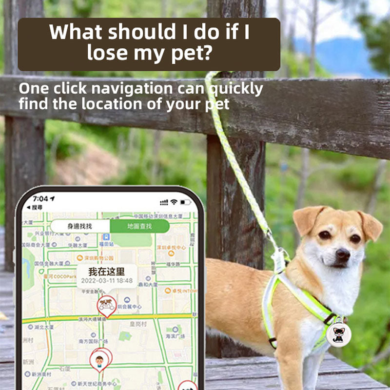 Pet GPS Tracker Collar for Far-Range Peace of Mind