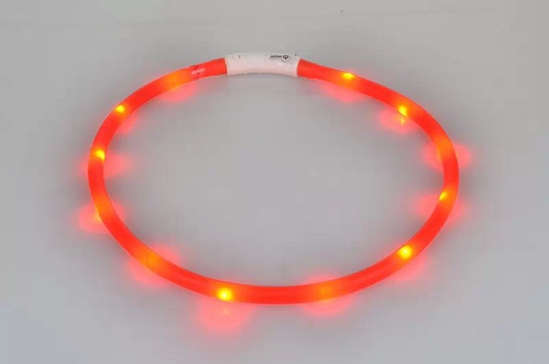 USB LED Dog Collar for Nighttime Walking Visibility