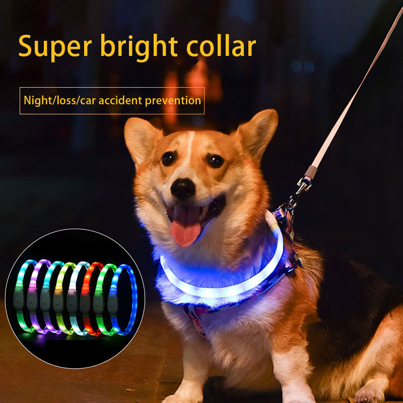 USB LED Dog Collar for Nighttime Walking Visibility
