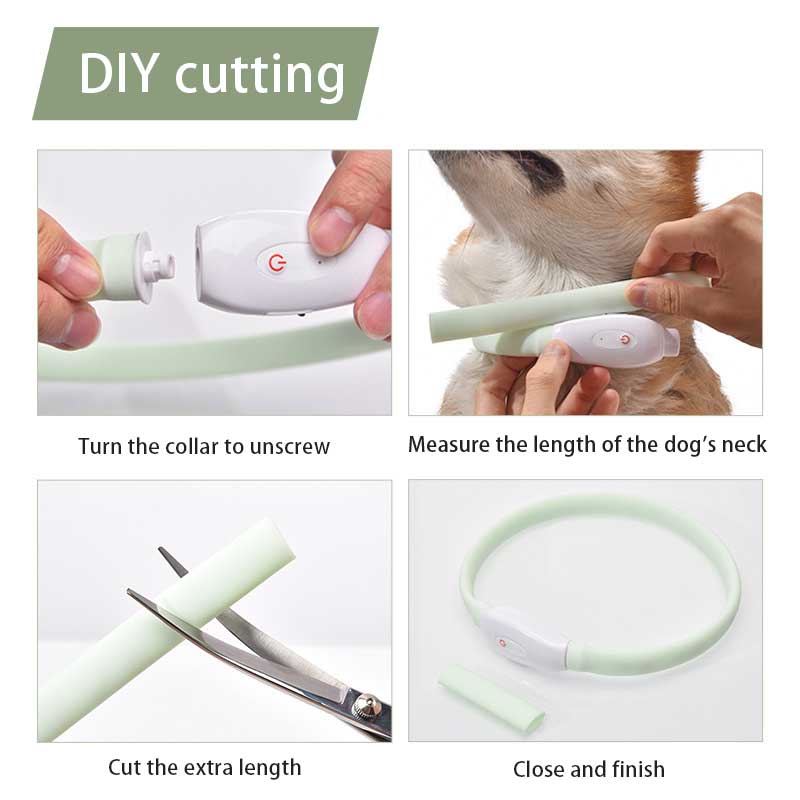 USB LED Dog Collar for Nighttime Walking Visibility