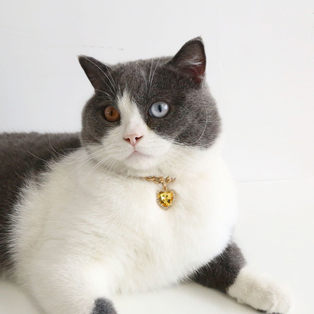 Rhinestone Pet Collar With Heart Pendant Glamour Style