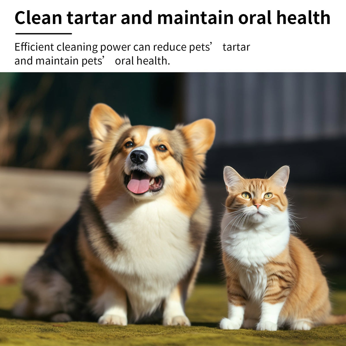 Pet Breath Spray for Fresher Breath and Easy Cuddles