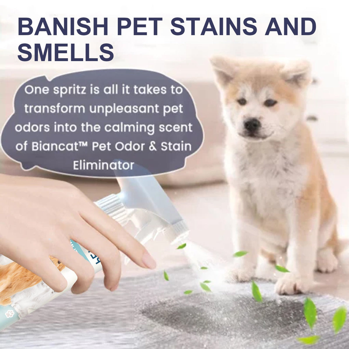 Pet Odor & Stain Eliminator Spray for Fresher Homes