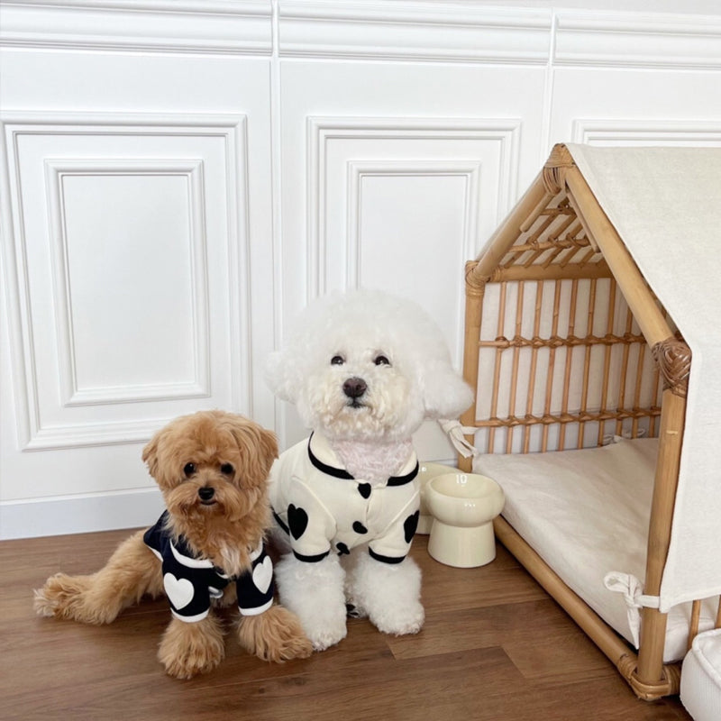 Small Dog Pajamas for Warm, Cozy Winter Comfort