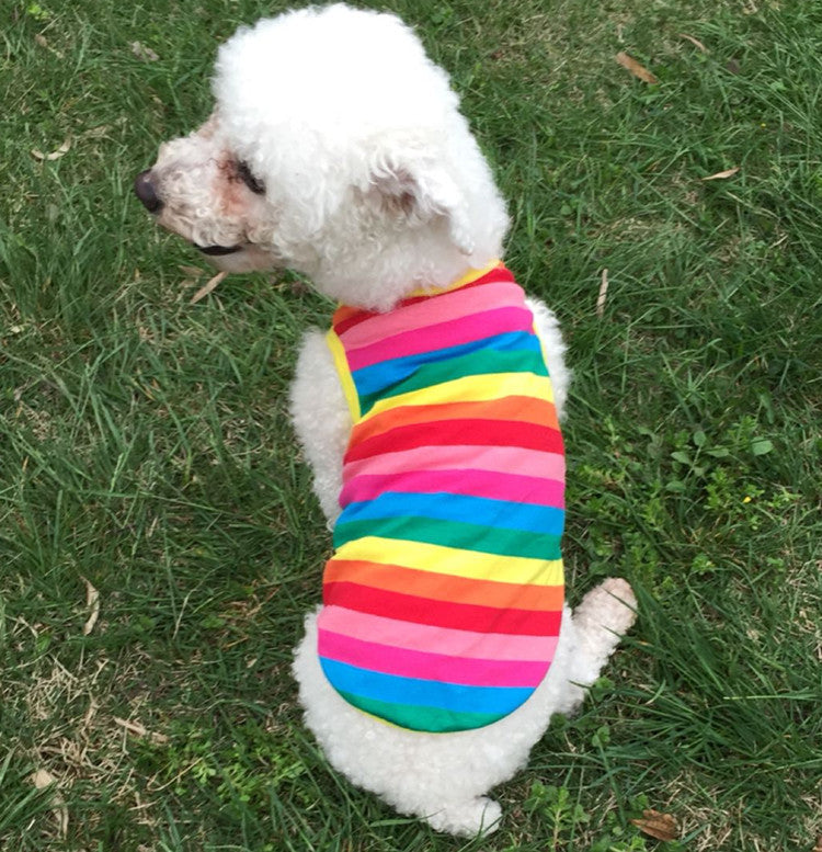Rainbow Striped Pet Vest for Small Dogs and Cats Outdoors
