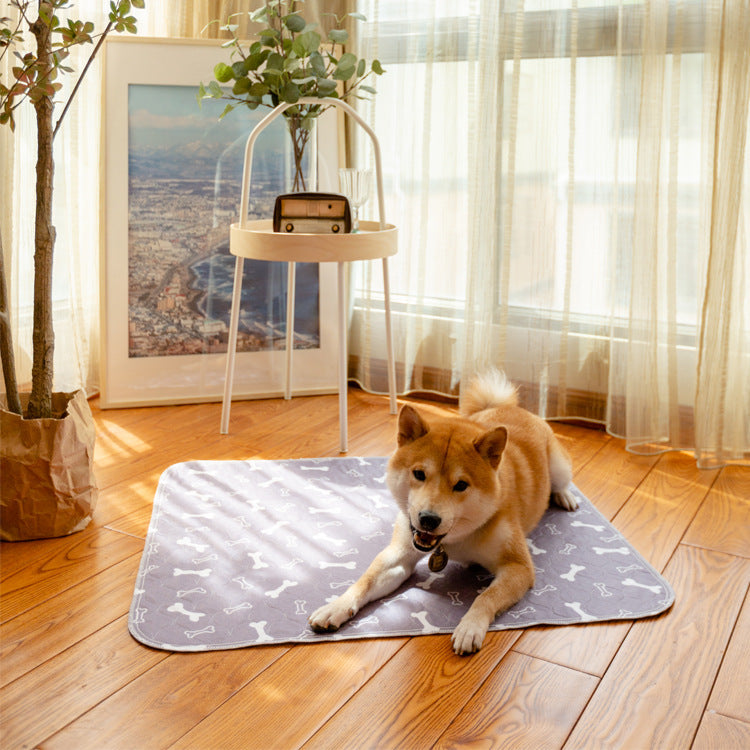 Washable Pet Diaper Pad for Everyday Moisture Protection