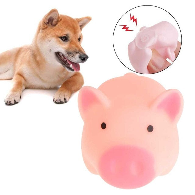 Textured Rubber Dog Toy for Chewing & Dental Play