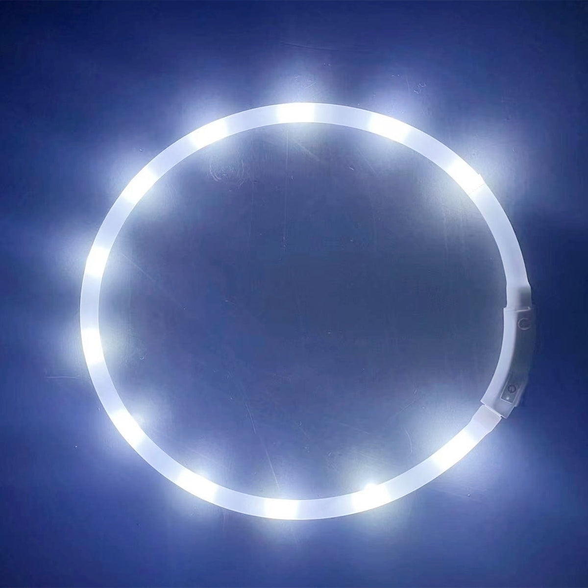 Rechargeable LED Dog Collar for Nighttime Visibility