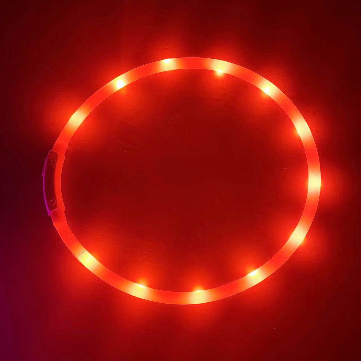 Rechargeable LED Dog Collar for Nighttime Visibility