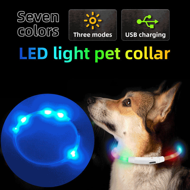 Rechargeable LED Dog Collar for Nighttime Visibility