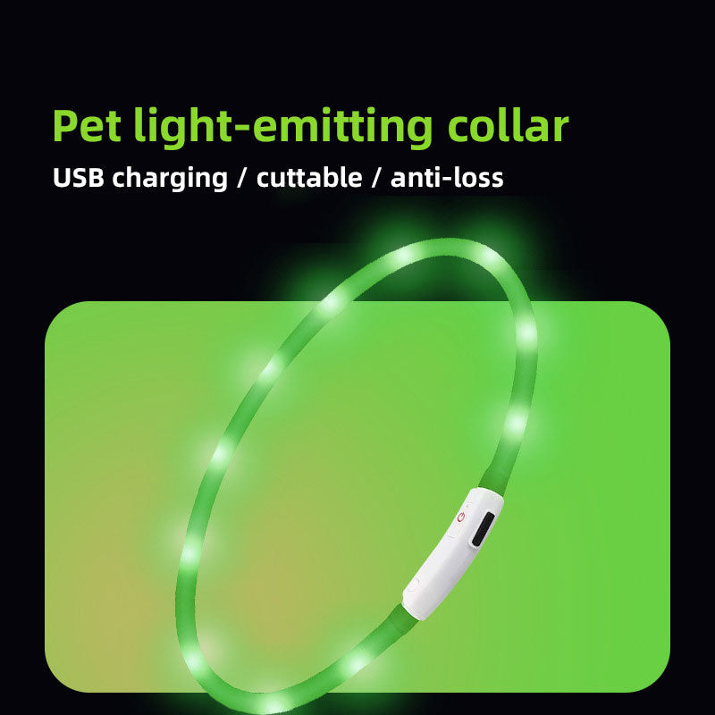 Rechargeable LED Dog Collar for Nighttime Visibility