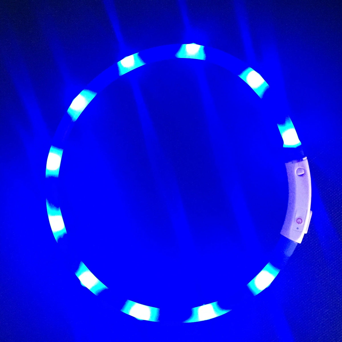 Rechargeable LED Dog Collar for Nighttime Visibility