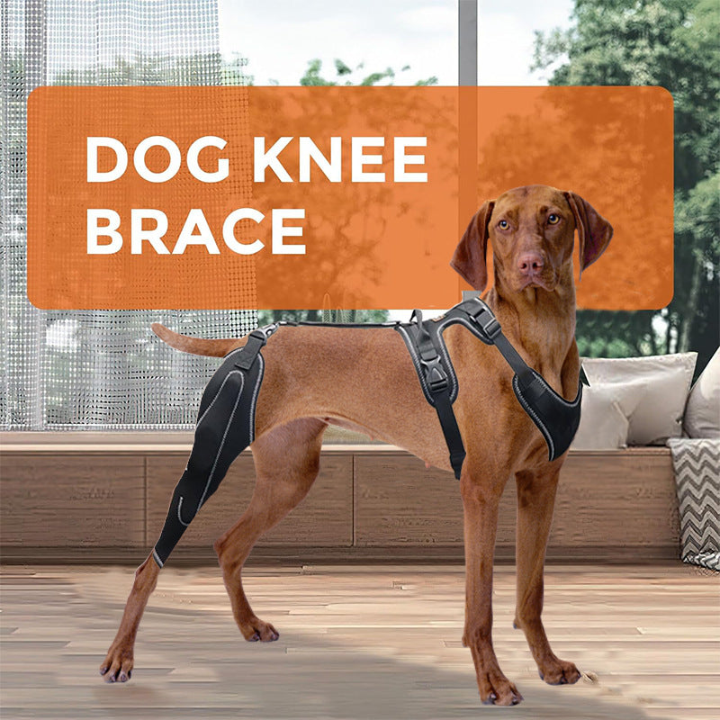 Dog Knee Brace & Hind-Leg Support Harness for Stability