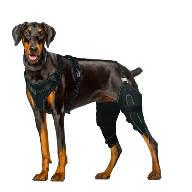 Dog Knee Brace & Hind-Leg Support Harness for Stability