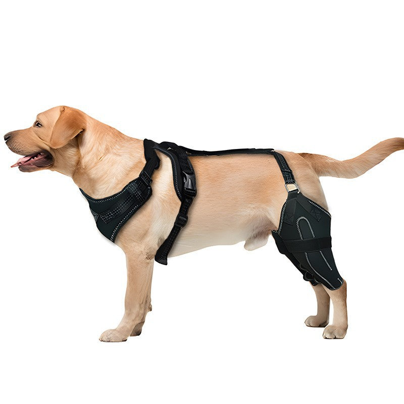 Dog Knee Brace & Hind-Leg Support Harness for Stability