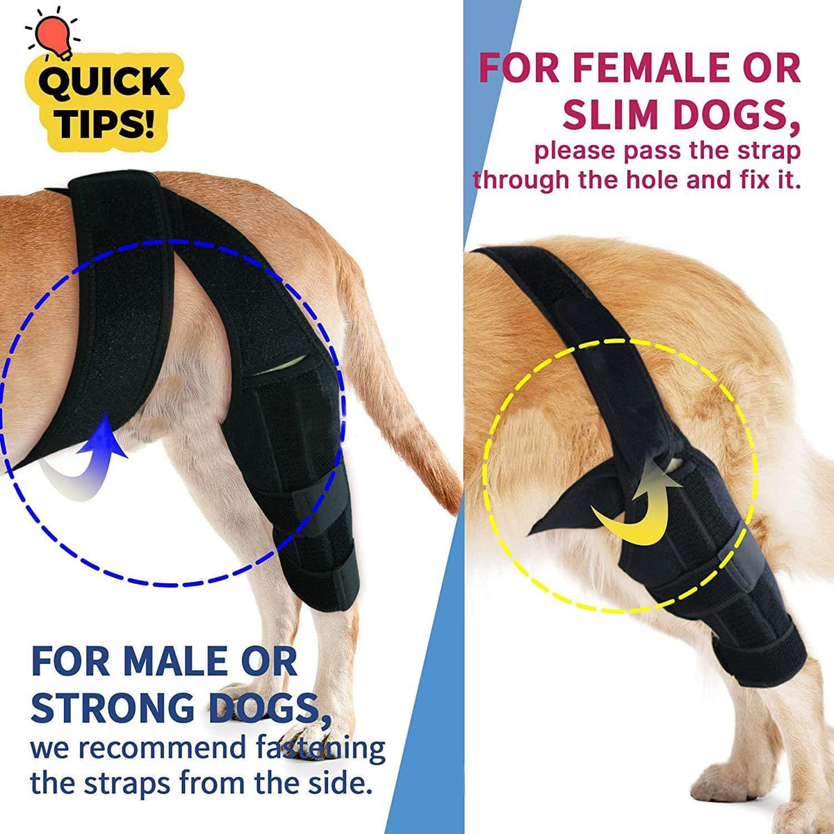 Adjustable Dog Knee Brace for Injury Recovery Support
