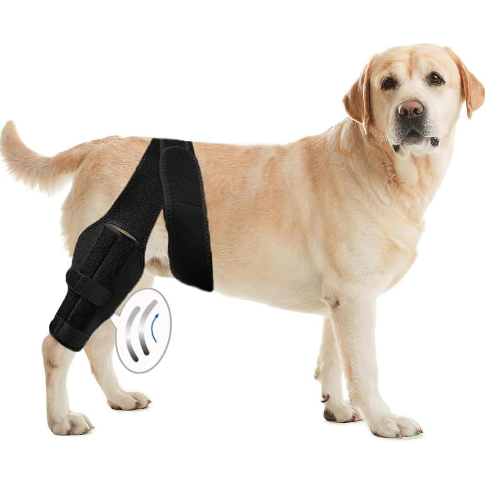 Adjustable Dog Knee Brace for Injury Recovery Support