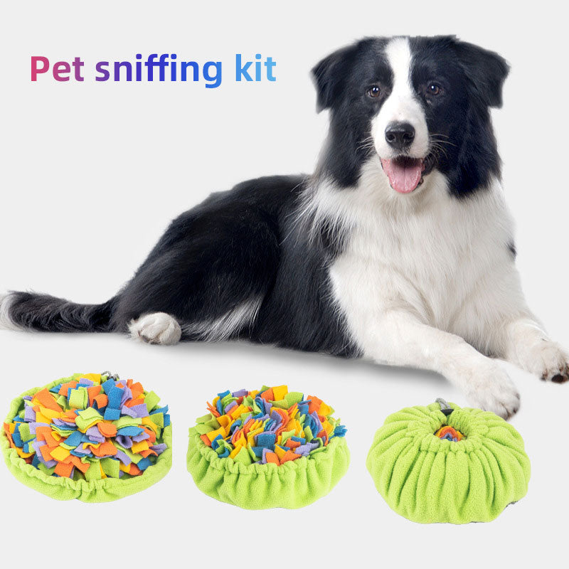 Snuffle Mat Dog Toy for Slower, Happier Mealtimes