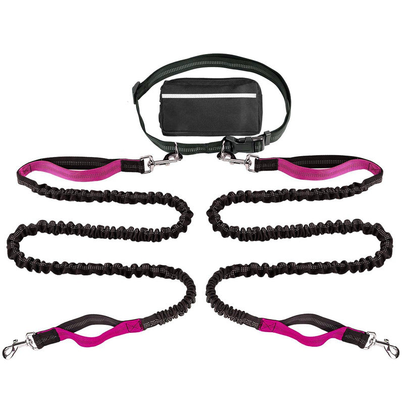 Hands-Free Dog Running Leash With Shock Absorption