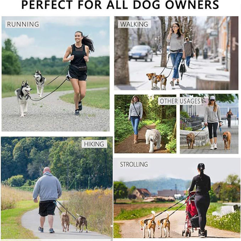 Hands-Free Dog Running Leash With Shock Absorption